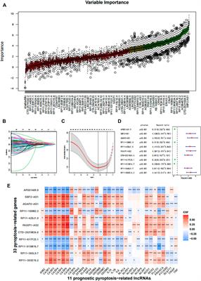 A prognostic pyroptosis-related LncRNA classifier associated with the immune landscape and therapy efficacy in glioma